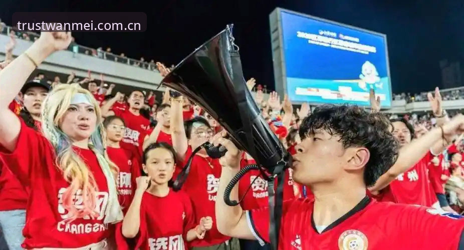 世界杯球迷签证危机与运动平台观赛体验：美国赛事vs国际球迷的现实差距
