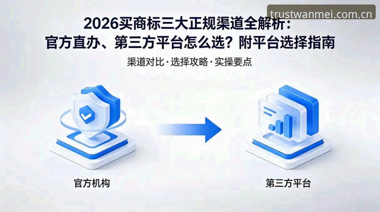 完美体育官方平台2026最新版本详解，老用户带你全面了解注册与下载